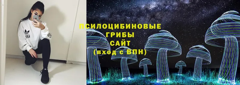 Галлюциногенные грибы Cubensis  OMG зеркало  Заполярный 